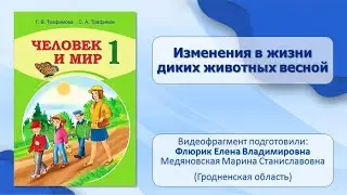 Тема 19. Изменения в жизни диких животных весной
