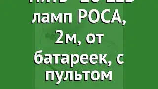 Электрогирлянда Нить 20 LED ламп РОСА, 2м, от батареек, с пультом (Vegas) обзор 55105