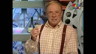 Спроси у Всезнамуса! Можно ли выучить кошачий язык?