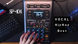 Some Vocal Chops|Roland SP404 MK2