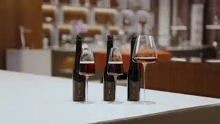 Приглашаем продегустрировать новый холодный чай из Японии с wine effect