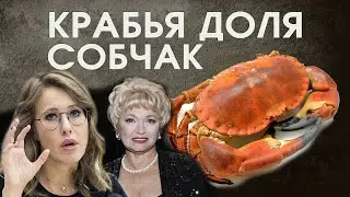 КРАБЬЯ ДОЛЯ СОБЧАК: политическая крыша для криминального бизнеса