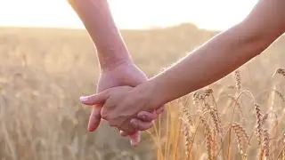 Couple Taking Hands On Field Over Sunset | Stock Footage