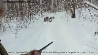Охота в тайге, объезд путика, проверка 200 капканов, добыча привады, снегоход буран на короткой базе