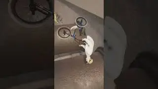 Wallride flair - BMX STREETS #bmx #streets #games