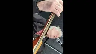 Singularity - Gig Live @DEED Eco Festival