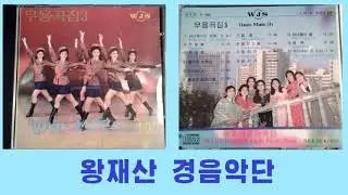Wangjaesan Light Music Band Vol. 10 || 왕재산경음악단 제10집