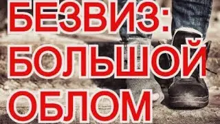 🔴UDI: ВИЗЫ, ВЪЕЗД, СРОКИ И ВОЗВРАТ ДЕНЕГ