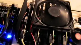 Миниферма из 12 видюх