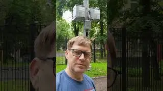 Вышки сотовой связи и исчезновение птиц в городах
