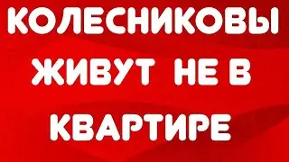 Колесниковы живут не в квартире// Обзор видео//