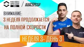 [RU] 2024 PMSL EMEA Н3Д3 | Осенний сезон