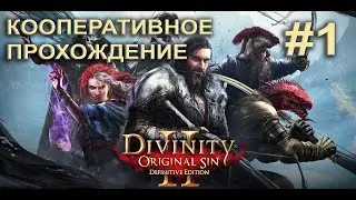 Divinity original sin 2 Совместное прохождение #1
