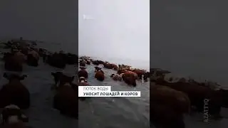 В Казахстане затопило 10 областей