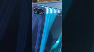 Swoll Honor 10