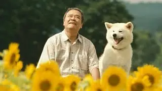 The Dog Kept Picking Up Food For An Old Man For 100 Days.Not Knowing He Was Already Dead.