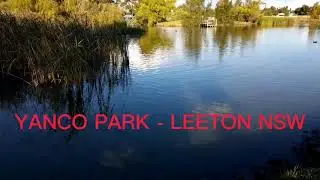YANCO PARK @ LEETON AUSTRALIA (NSW)