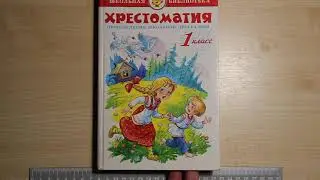 №126 