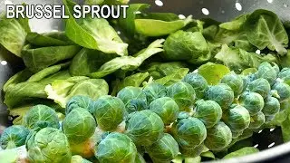 Mengatasi Diabetes Tipe 2 Dengan Brussel Sprout