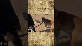 Туркменистан