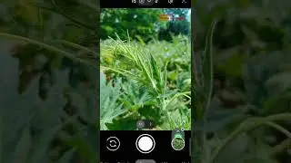 lmc8.4 । configs?