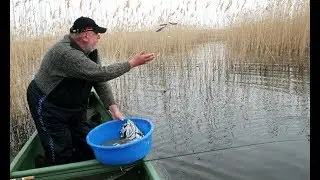 Уникальный ЭКСПЕРИМЕНТ по ПРИКАРМЛИВАНИЮ щук