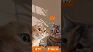 Бюджетные туры на Новый Год