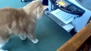 videoplayback 9
