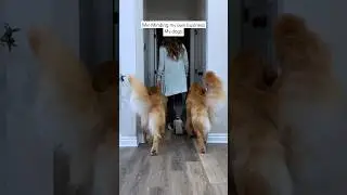When I try to do anything...