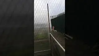 Дина провокатор