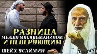Какая разница между мусульманином и верующим? Шейх Мухаммад Солих Аль Усеймин