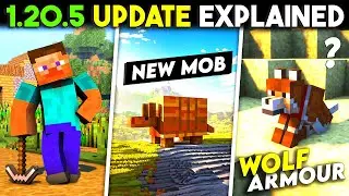 Minecraft *BIG UPDATE* Is Finally Here 🔥 - Armadillo Mob, Wolf Armour & More | Minecraft Paws Update