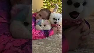 Артикулы wb: 🐶собачка 47558185 🐈кошечка 179822487 