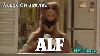 Альф. Він зайнятий. Alf. He's busy. Альф. Он занят. #alf