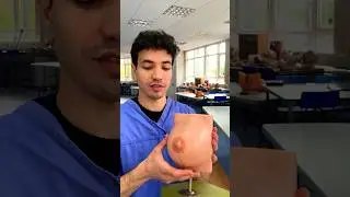 Nipple inversion can be a sign of breast cancer! 