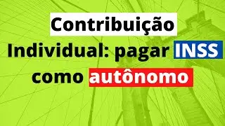 Como pagar INSS como autônomo 2020?