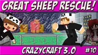 The Great Sheep Rescue! | Ep. 10 | CrazyCraft 3.0 Roleplay