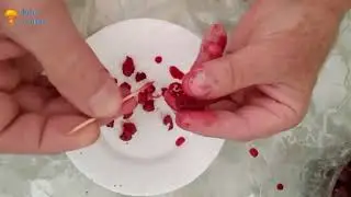 3 простых способа удаления косточек из вишни. И заморозка на зиму.