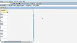 SAP FICO CONFIGURATION FROM COMPANY CREATION TO VOID REASON CODES