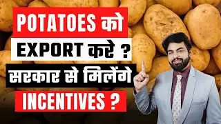 How to Export Potato From India ? Potatoes को Export करे सरकार से मिलेंगे Incentives  | By Harsh Sir