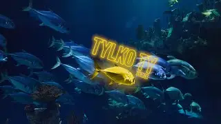 SYMIK - Tylko Ty (prod. Eskimos x AlsBeatz)