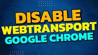 Disable WebTransport Developer Mode In Google Chrome