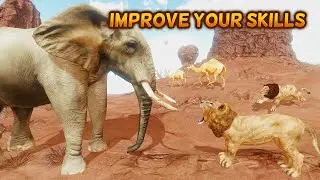 The Lion Animal Simulator Part 2