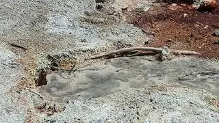 Yellowstone Hot Springs