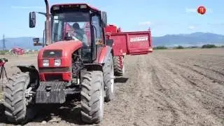 14.09.2016 Уборка картофеля в совхозе Южно-Сахалинский