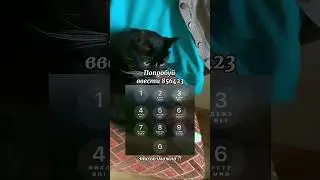 А ты смог ввести?🤔