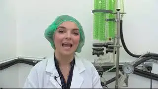 Healing Hemp