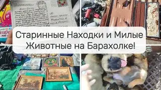 Уникальные Винтажные Находки на Барахолке: Старые Письма, Открытки и Животные! Читаем чужие письма