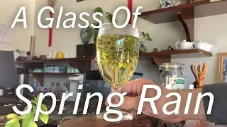 A Glass of Spring Rain: 2021's Yu Qian (Spring Rain Harvest) Anji Timelapse