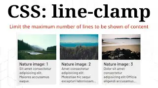 CSS : line-clamp | Fix the number of line to be shown of a content